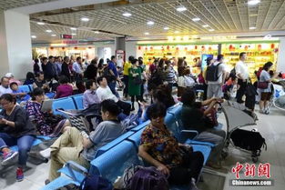 海南出臺商品住宅價格備案新規 備案后半年內不得調高，助力旅游業發展